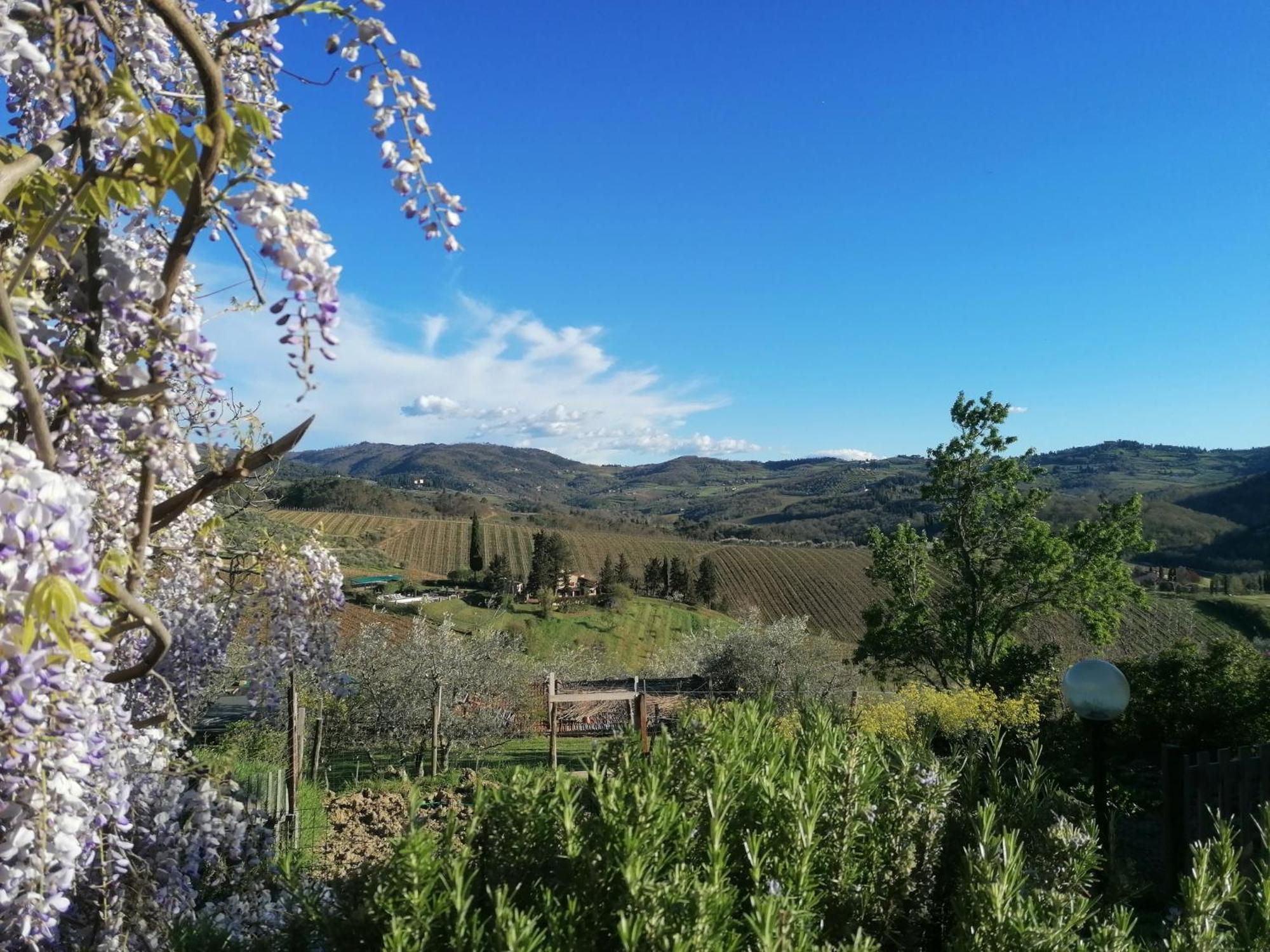 Casa Gioia Apartment Greve in Chianti Exterior photo